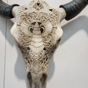 Skull Wall Decor at Online8 Furniture Auckland NZ
