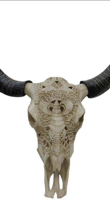 Skull Wall Decor at Online8 Furniture Auckland NZ