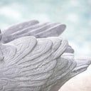 Swan Planter at Online8 Furniture Auckland NZ