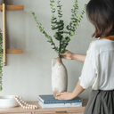 Terracotta Planter at Online8 Furniture Auckland NZ
