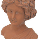 Terracotta Visage Head Planter at Online8 Furniture Auckland NZ