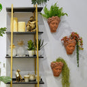 Terracotta Visage Head Planter at Online8 Furniture Auckland NZ