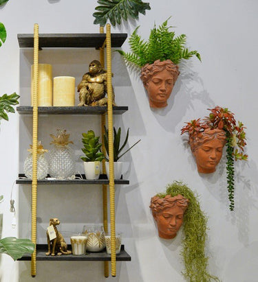 Terracotta Visage Head Planter at Online8 Furniture Auckland NZ