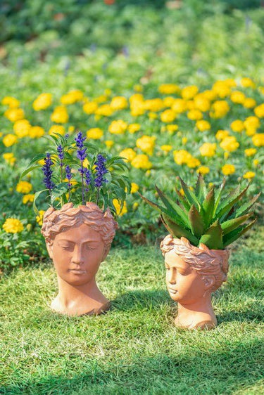 Terracotta Visage Head Planter at Online8 Furniture Auckland NZ