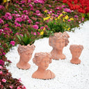 Terracotta Visage Head Planter at Online8 Furniture Auckland NZ