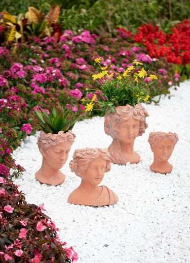 Terracotta Visage Head Planter at Online8 Furniture Auckland NZ