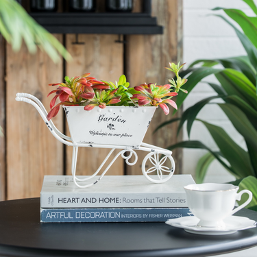 Trolley Planter / Ice Cart Small at Online8 Furniture Auckland NZ