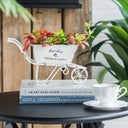Trolley Planter / Ice Cart Small at Online8 Furniture Auckland NZ