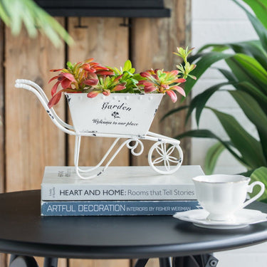 Trolley Planter / Ice Cart Small at Online8 Furniture Auckland NZ