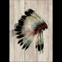 Wood Panel Art - Watercolour Chieftan at Online8 Furniture Auckland NZ