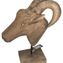 Wooden Rams Head at Online8 Furniture Auckland NZ