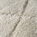 Lowry Etched White Rug