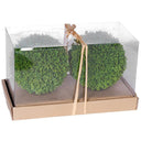 2PC BALL IN BOX at online8 furniture store Auckland