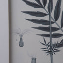Monochrome Botanical Pencil Art Print - Set of 4 - 50x70cm