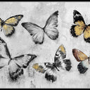 Butterflies Wall Art