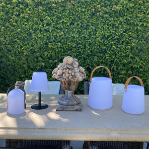 Decorative Fruit Vase - Indoor | Outdoor