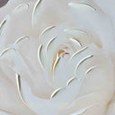 Gardenia Wall Art detail
