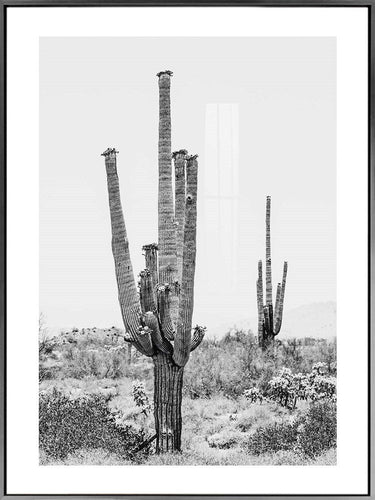 Kansas Print Framed Canvas Wall Art at Online8 Furniture Auckland NZ
