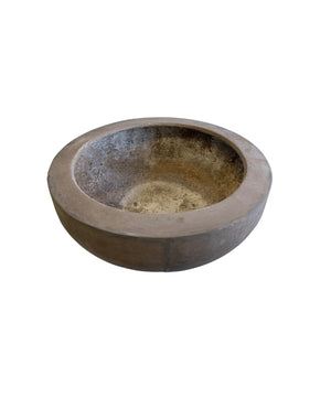 Levigare Planter Fossil