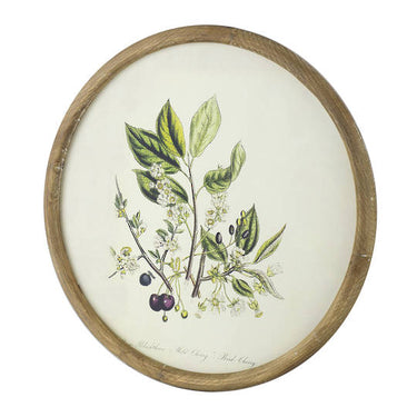 Flora Botanical Round Print - Set of 4 (50cm)