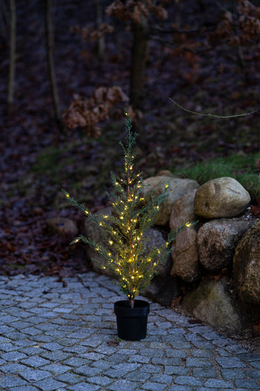 SIRIUS Milas Cedar Outdoor LED Tree - 1m