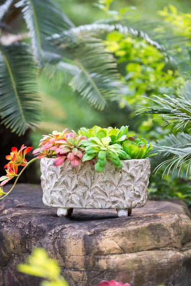 Terracotta Planter - Rectangular 24cm at Online8 Furniture Auckland NZ