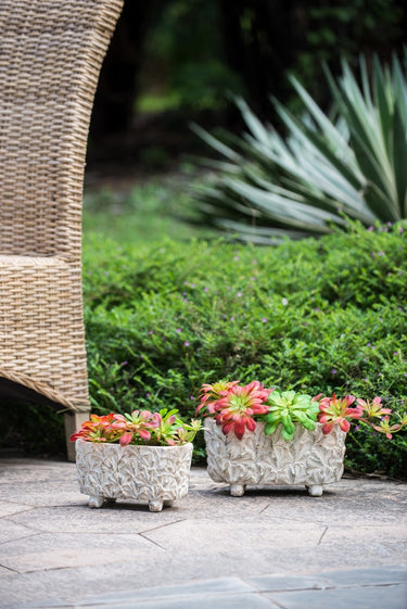 Terracotta Planter - Rectangular 24cm at Online8 Furniture Auckland NZ