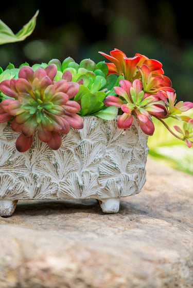 Terracotta Planter - Rectangular 29cm at Online8 Furniture Auckland NZ