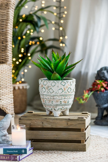 Terracotta Planter - 22cm at Online8 Furniture Auckland NZ