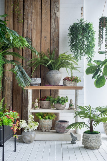 Terracotta Planter - 22cm at Online8 Furniture Auckland NZ
