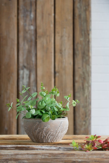 Terracotta Planter - Bowl 23cm at Online8 Furniture Auckland NZ
