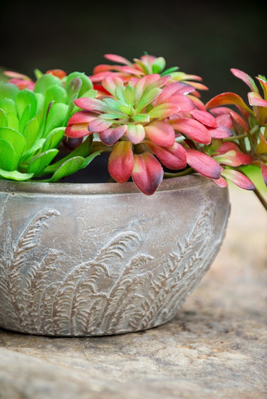 Terracotta Planter - Bowl 23cm at Online8 Furniture Auckland NZ