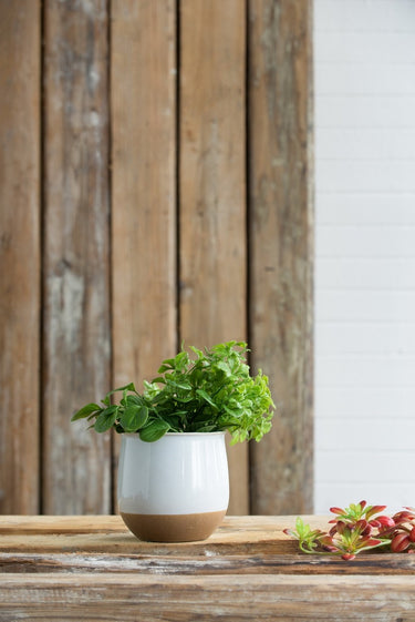 Ceramic Vase - White & Terracotta 16cm at Online8 Furniture Auckland NZ
