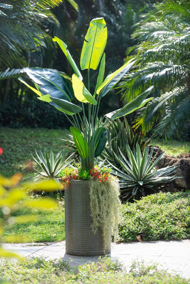 Concrete Planter - Rustic Olive 75cm at Online8 Furniture Auckland NZ
