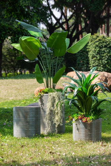 Concrete Planter - Rustic Olive 75cm at Online8 Furniture Auckland NZ