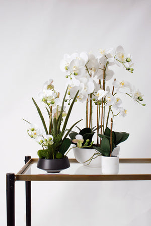 Potted Real Touch Orchid White Pot - 63cm