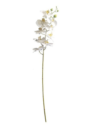 Real Touch Moth Orchid White