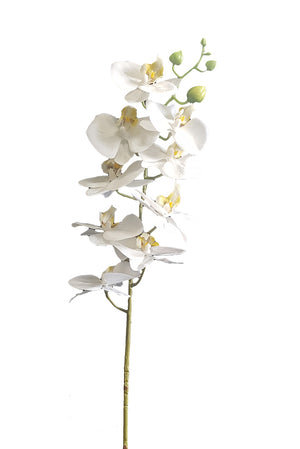Real Touch Moth Orchid White