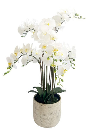 Potted Real Touch Phalaenopsis Orchid - 80cm