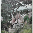 Toi Toi Beauty II Wall Art