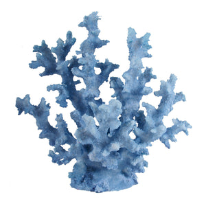 Blue Fax Coral