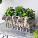 Sheep Planter at Online8 Furniture Auckland NZ
