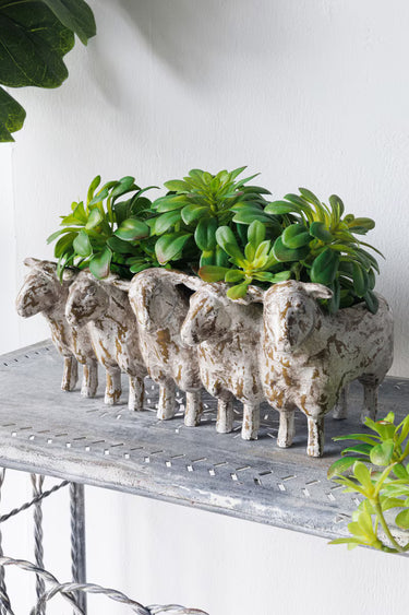 Sheep Planter at Online8 Furniture Auckland NZ