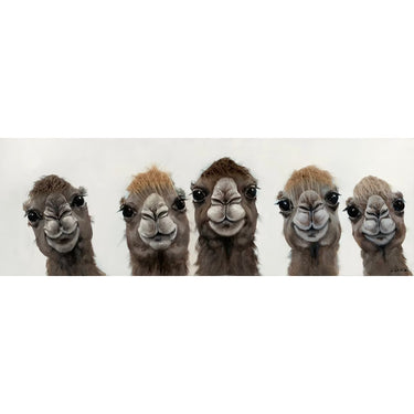 Bad Hair Day - 5 Lama Canvas at Online8 Furniture Auckland NZ