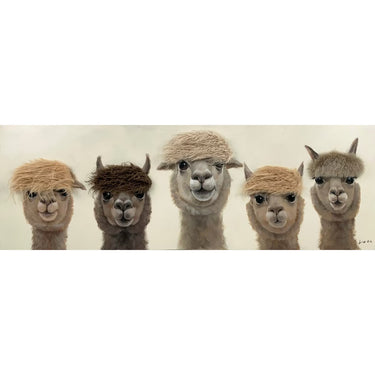 Bad Hair Day - 5 Alpaca Canvas at Online8 Furniture Auckland NZ