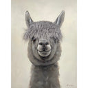 Bad Hair Day - Alpaca Canvas at Online8 Furniture Auckland NZ
