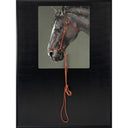 Brown Horse With Reins Canvas at Online8 Furniture Auckland NZ