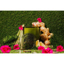 AB Core Candle 400g | Koh Samui - Thai Lemongrass & Ginger at Online8 Furniture Auckland NZ