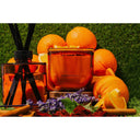 AB Core Candle 400g | Sunday Mimosa - Valencia Orange & Champagne at Online8 Furniture Auckland NZ