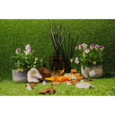 AB Core Diffuser 400ml | Reunion Isle - French Vanilla & Musk at Online8 Furniture Auckland NZ